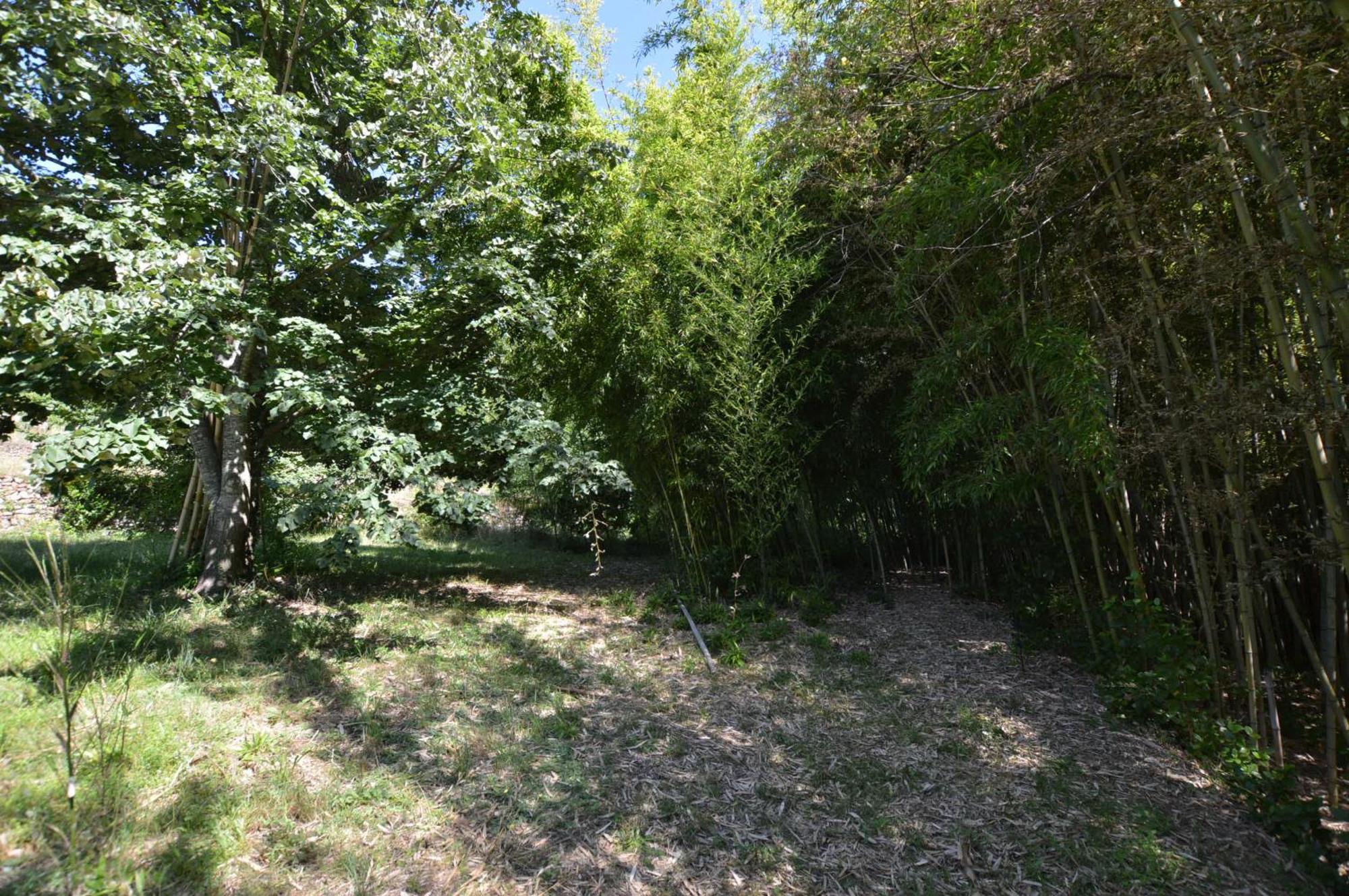 Mas Des Druilles Bed & Breakfast Generargues Exterior foto